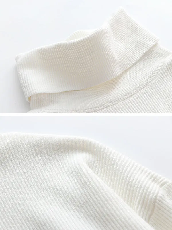 Casual Loose Solid Color High-Neck Long Sleeves Knitwear